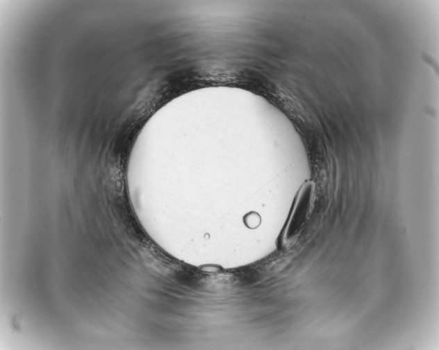 X0000098140609200805081022