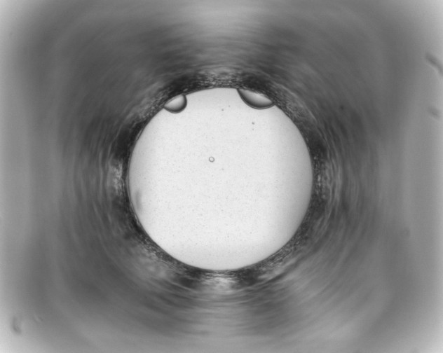 X0000098140610200805081022