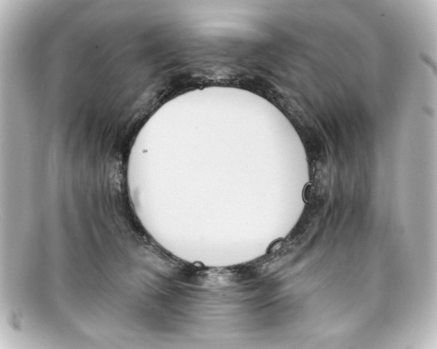 X0000098140612200805081021