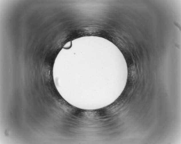 X0000098140615200805081021