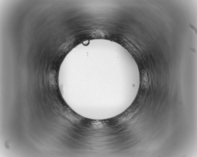 X0000098140616200805081021