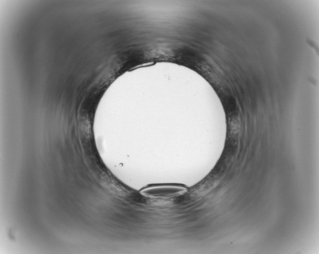 X0000098140617200805081021