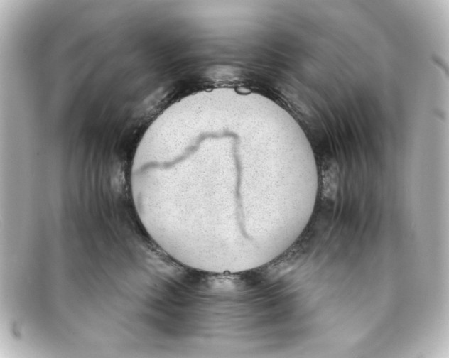 X0000098140618200805081021