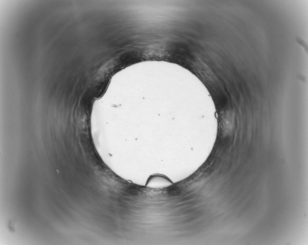 X0000098140619200805081021