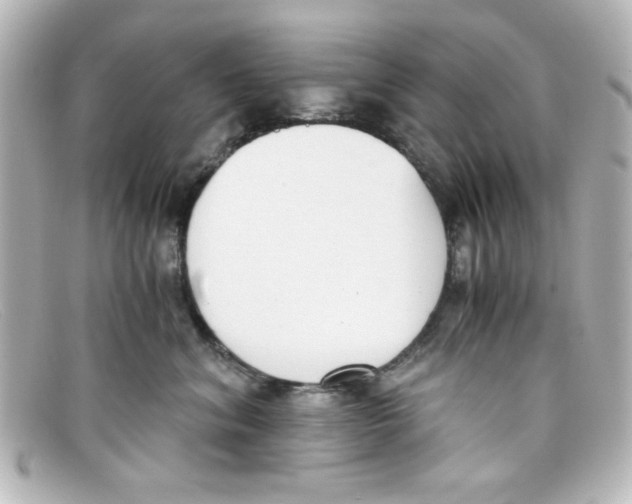 X0000098140620200805081021