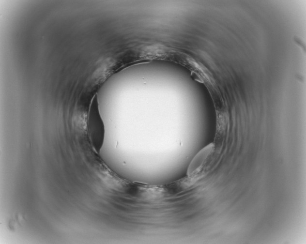 X0000098140621200805081021