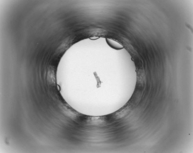 X0000098140622200805081021