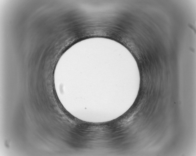 X0000098140625200805081021