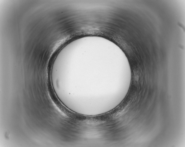 X0000098140630200805081021