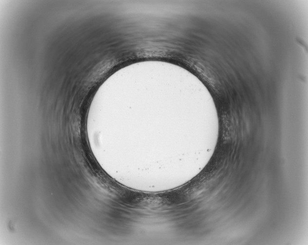 X0000098140631200805081021