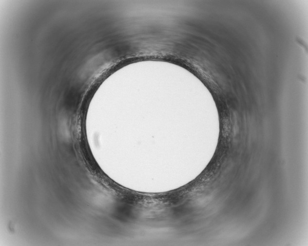 X0000098140632200805081021