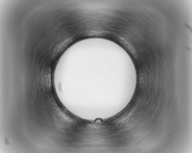 X0000098140633200805081021