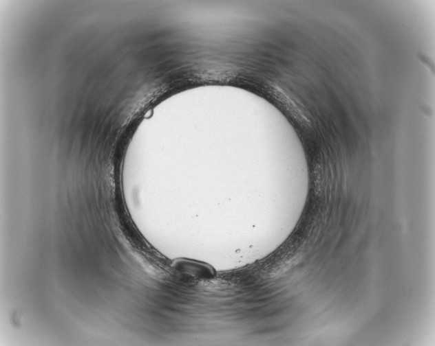 X0000098140634200805081021