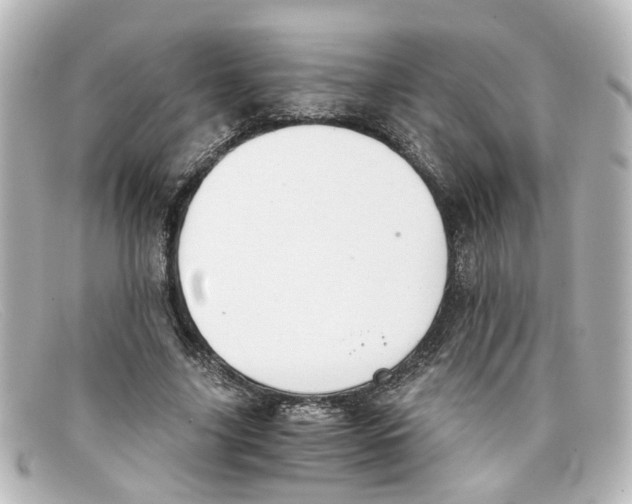 X0000098140635200805081021