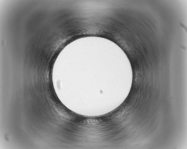 X0000098140636200805081021