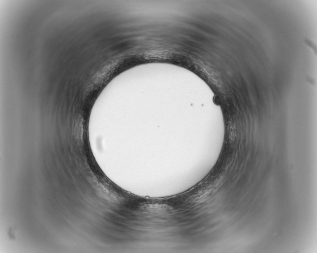 X0000098140637200805081021