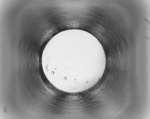 X0000098140638200805081021