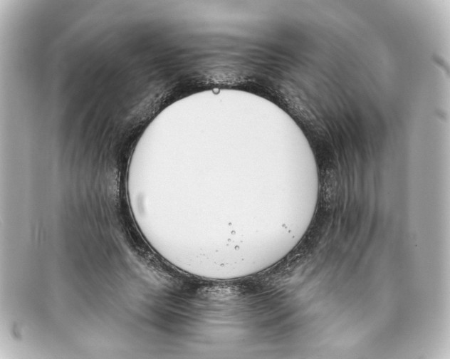 X0000098140639200805081021