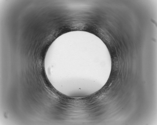 X0000098140641200805081021