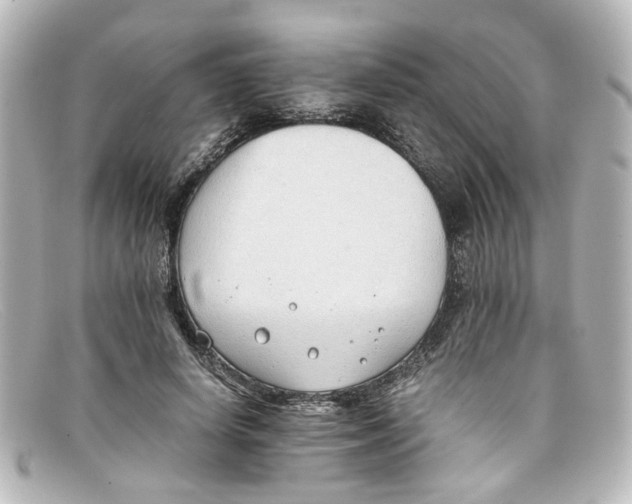 X0000098140642200805081021