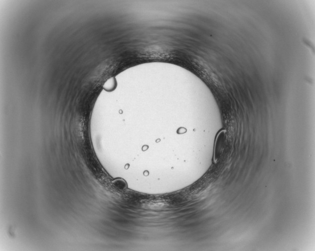 X0000098140643200805081021