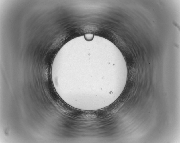 X0000098140644200805081021