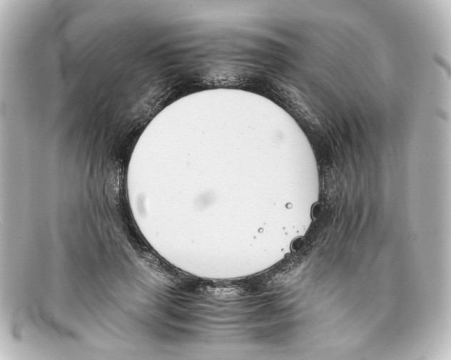 X0000098140645200805081021