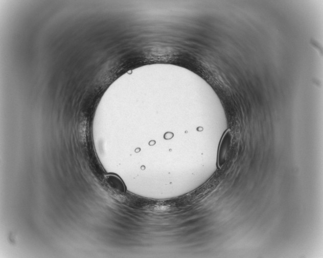 X0000098140647200805081021