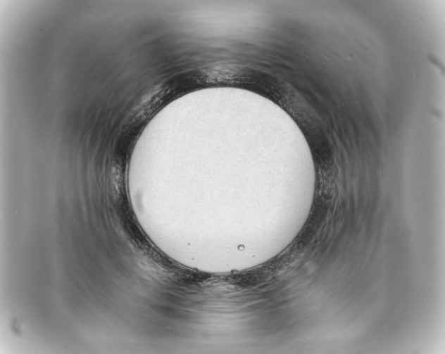 X0000098140648200805081021