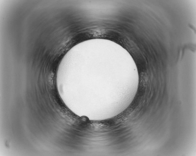 X0000098140650200805081021