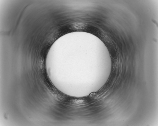 X0000098140651200805081021