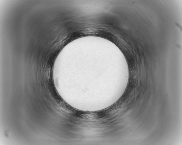 X0000098140652200805081021