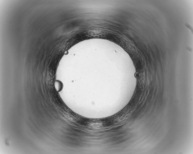 X0000098140653200805081021