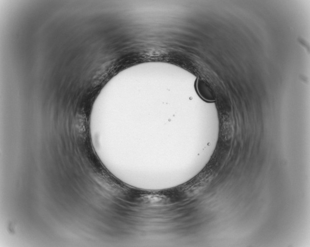 X0000098140654200805081021