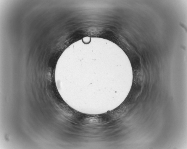 X0000098140655200805081021