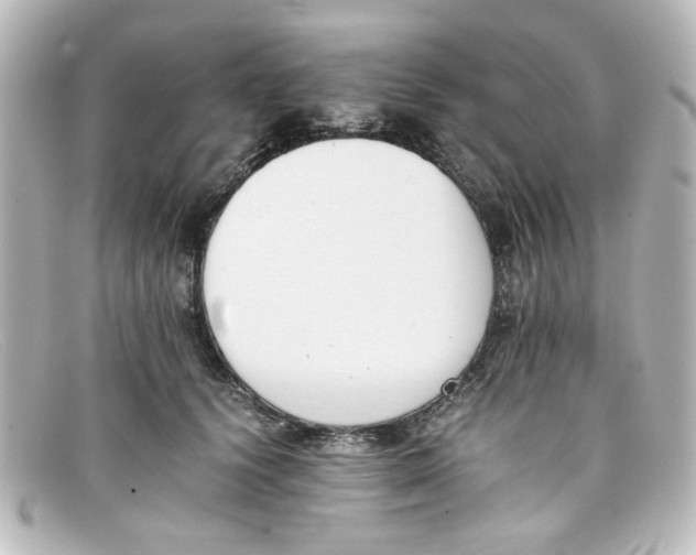 X0000098140656200805081021