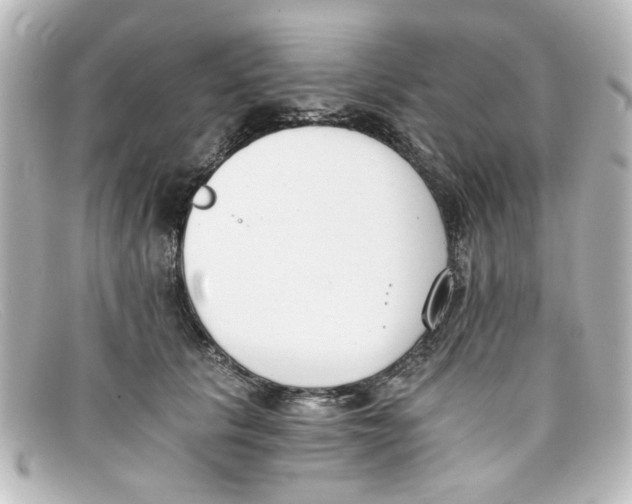 X0000098140657200805081021