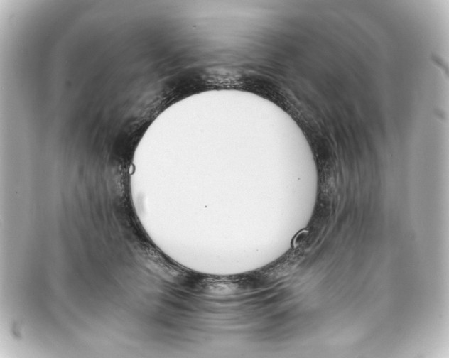 X0000098140658200805081021