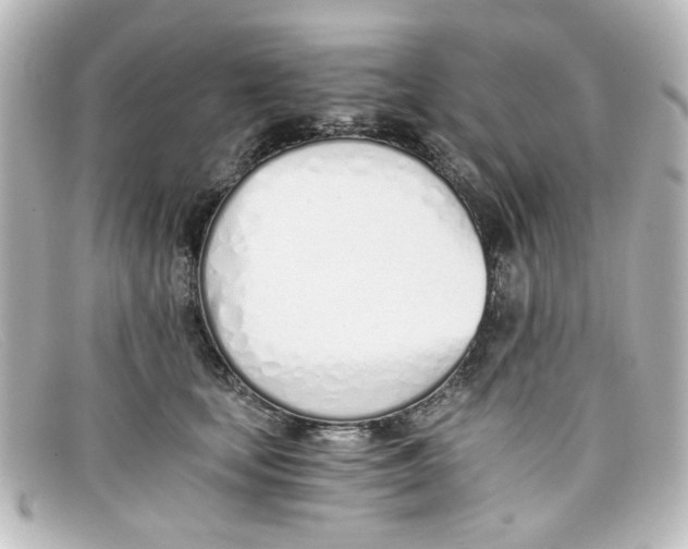 X0000098140659200805081021