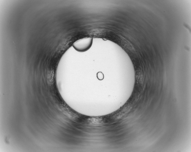 X0000098140660200805081021