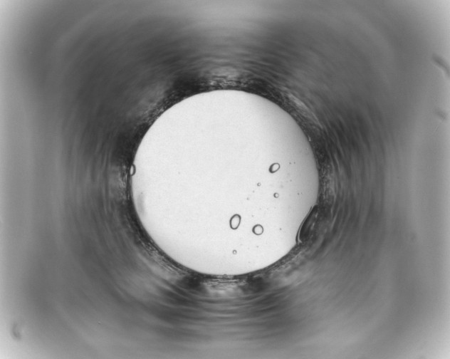 X0000098140661200805081021