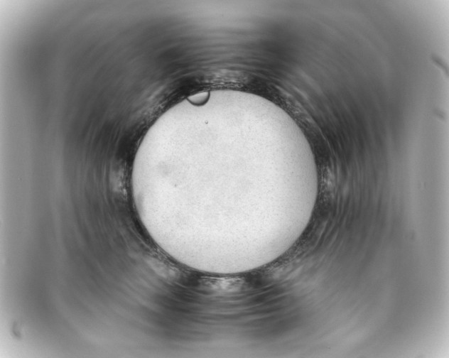 X0000098140663200805081021