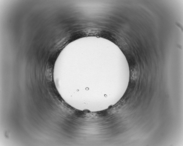 X0000098140666200805081021