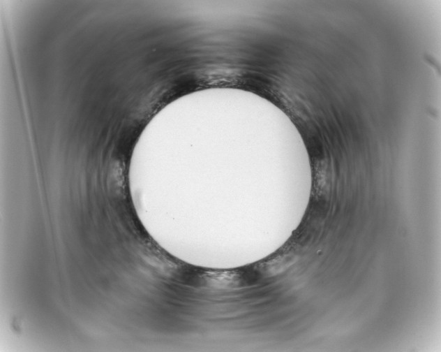 X0000098140667200805081021