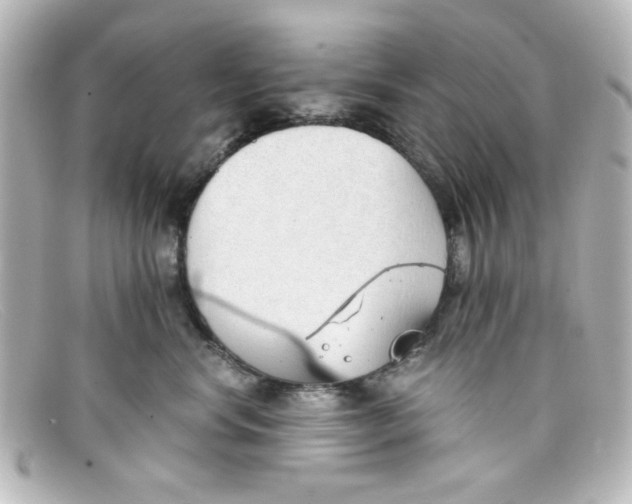 X0000098140668200805081021