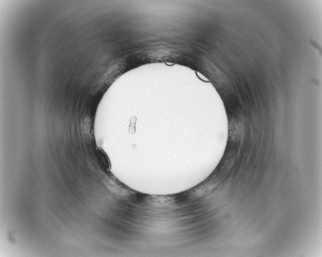 X0000098140670200805081021