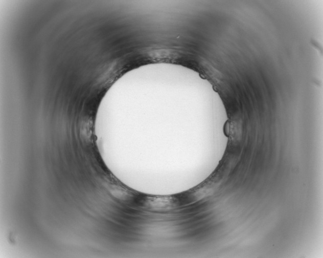 X0000098140671200805081021