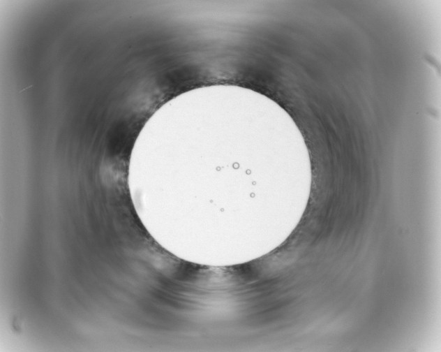 X0000098140672200805081021