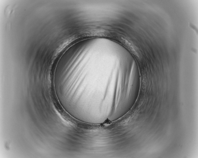 X0000098140674200805081021