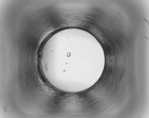 X0000098140676200805081021